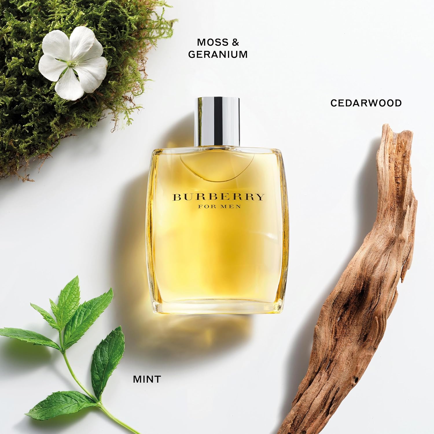 Burberry Timeless Men's Fragrance