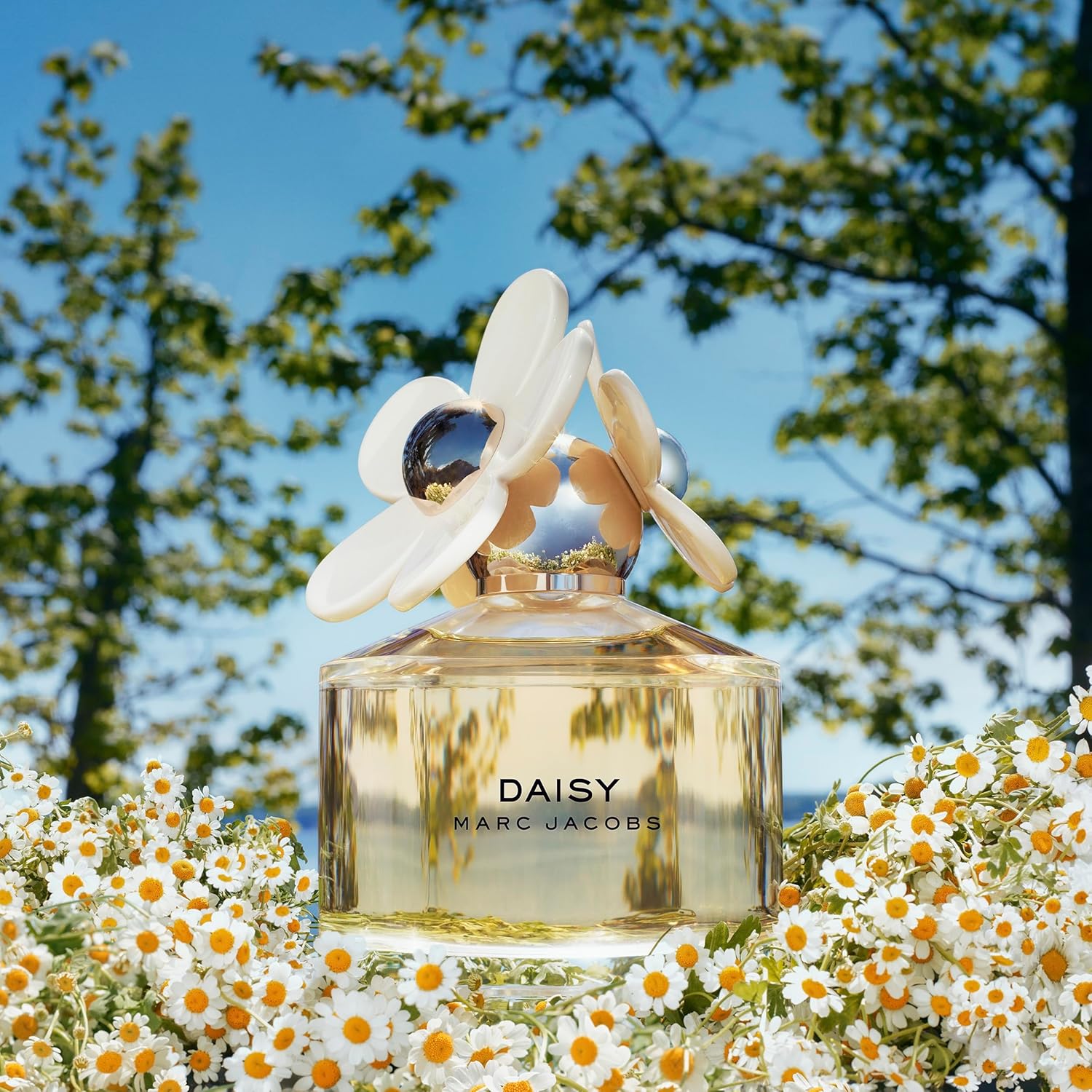 Marc Jacobs Daisy EDT